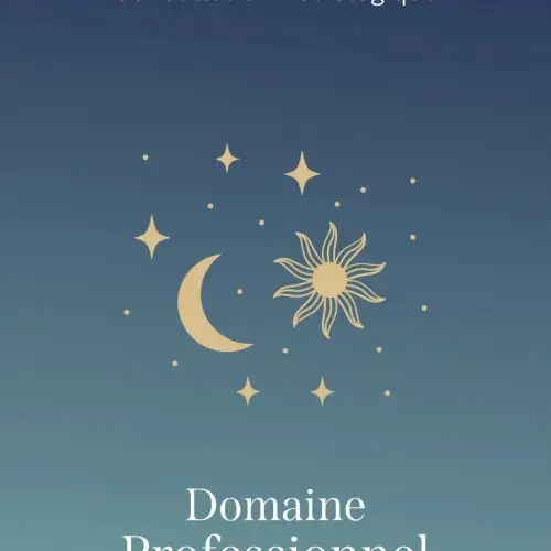 Consultation ASTROLOGIE: domaine PROFESSIONNEL